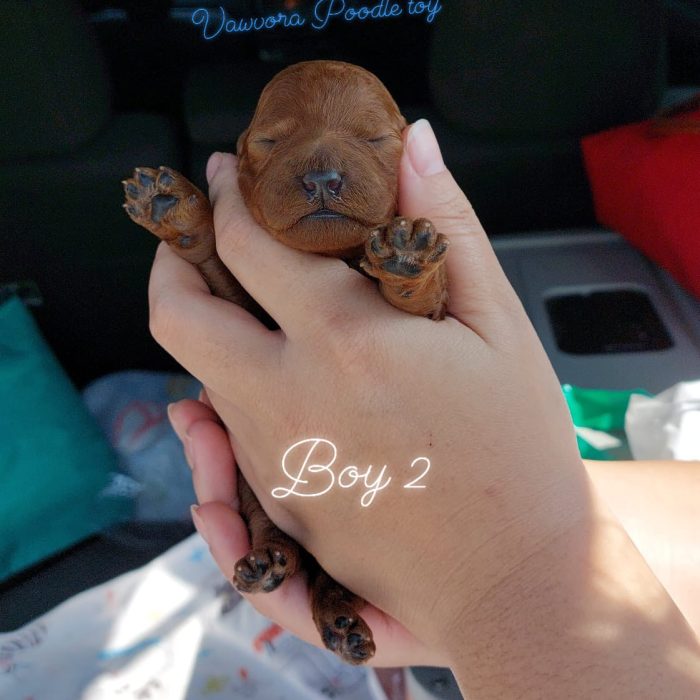 321956375_1551439125320927_5462947105346987083_n