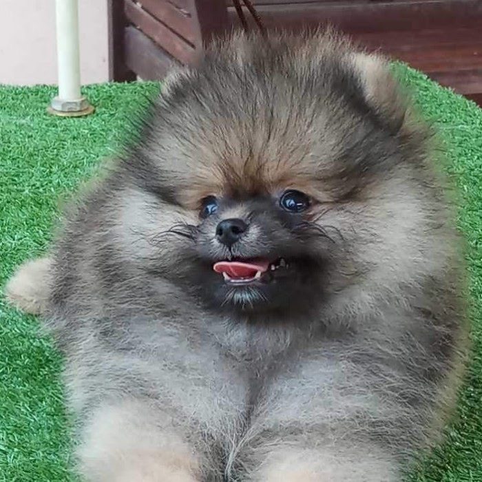 FB_IMG_1534408047515