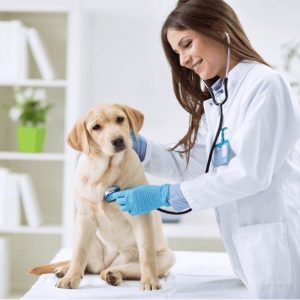 Screenshot_20230506-105756_Chrome (1)