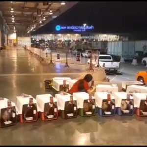 WhatsApp Image 2025-05-13 at 08.28.21_ab6cad95