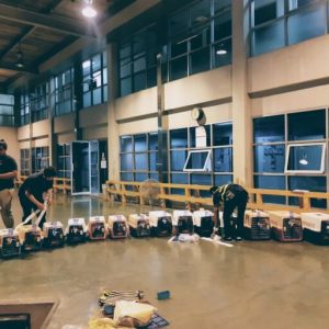 cropped-2023-02-17-3