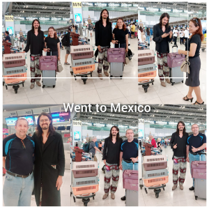 תמונה של WhatsApp‏ 2023-04-24 בשעה 09.09.09