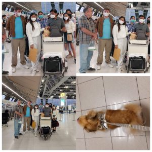 תמונה של WhatsApp‏ 2023-04-24 בשעה 09.09.30 - Copy